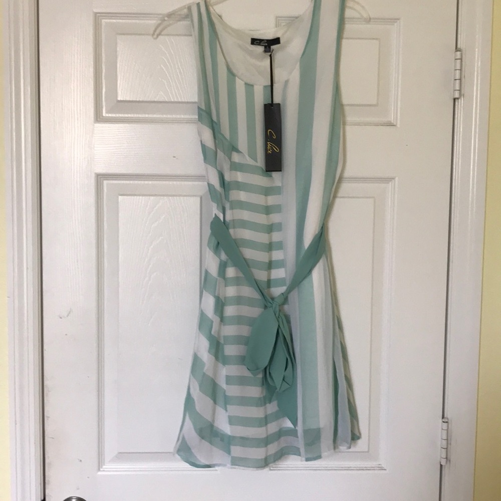 C. Luce Striped Dress